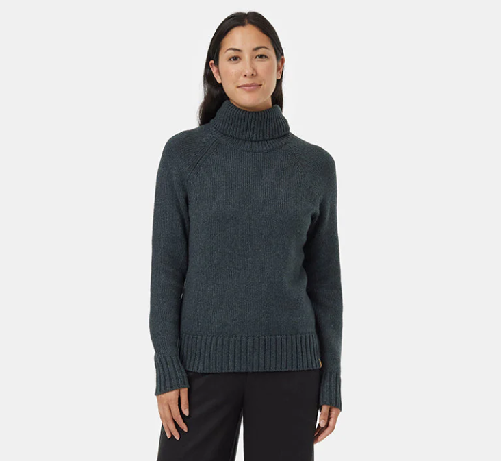 Tentree Highline Wool Turtleneck Sweater