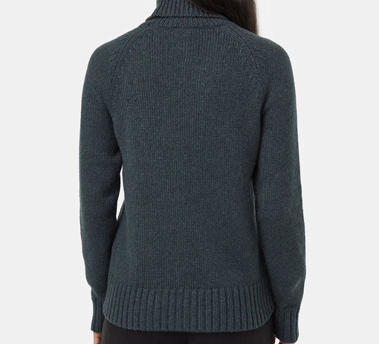 Tentree Highline Wool Turtleneck Sweater