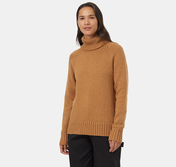 Tentree Highline Wool Turtleneck Sweater