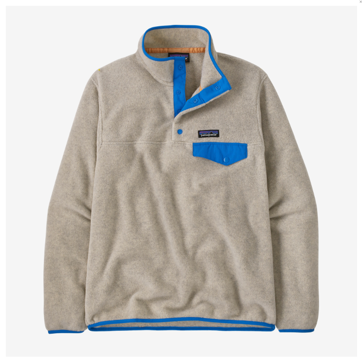 Patagonia Light Weight Synchilla Snap Pullover