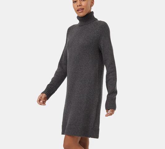 Tentree Highline Turtleneck Dress