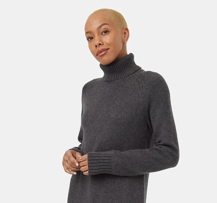 Tentree Highline Turtleneck Dress